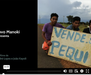 VENDE-SE PEQUI